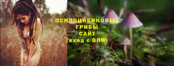 дживик Алексин