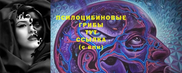 хмурый Алексеевка