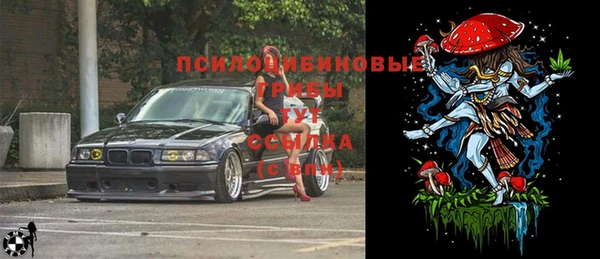 хмурый Алексеевка
