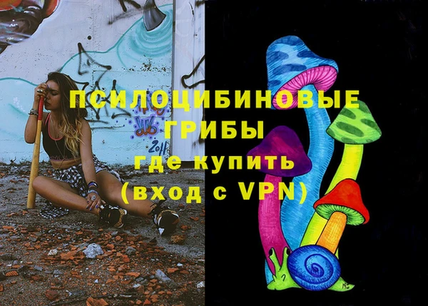 хмурый Алексеевка