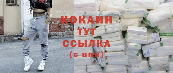 дживик Алексин