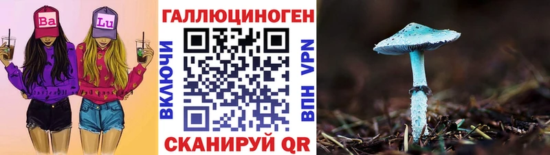 Псилоцибиновые грибы Psilocybine cubensis  наркошоп  Мензелинск 